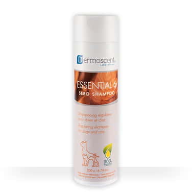 Essential 6 Sebo Shampoo