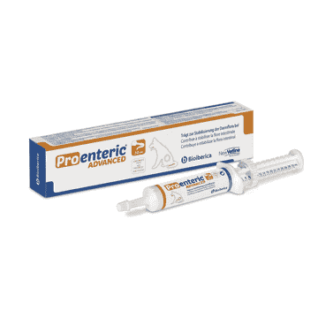 Pro-Enteric Advanced pour chiens