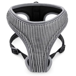 Geschirr Sport Soi Weiss