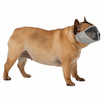 Maulkorb