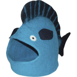 Höhle Fische Türkis