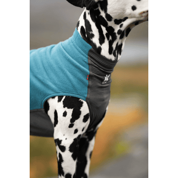 Pull en laine polaire Trail Quest Teal