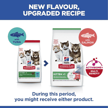 Kitten Tuna (new: Salmon!)