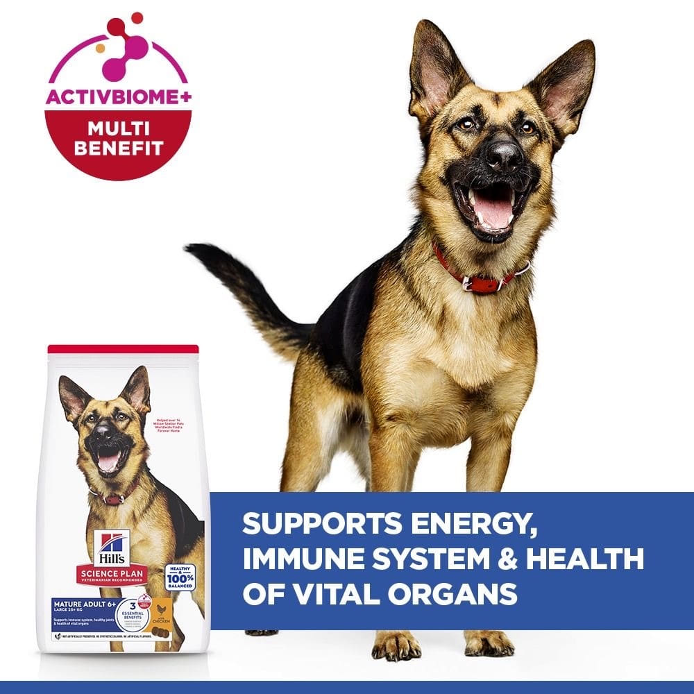Canine Mature Adult 6+ Large Breed