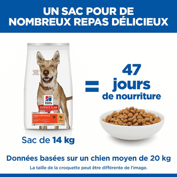 Canine Performance Adult