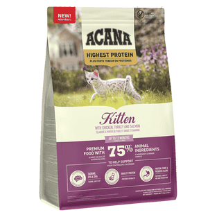 Highest Protein Kitten Grain Free