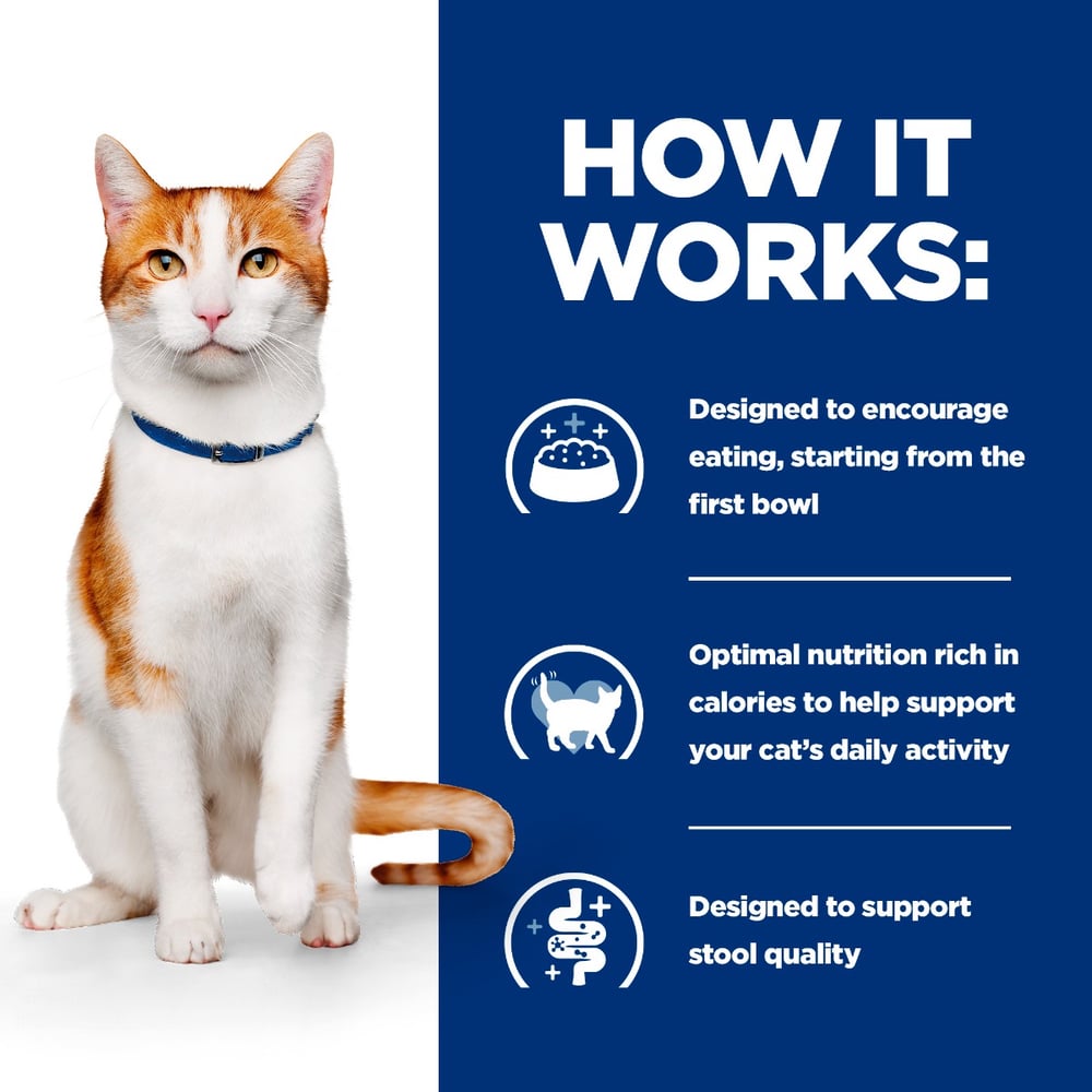 Feline ON-CARE nourish &amp; support