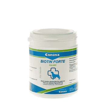 Biotin Forte en Poudre