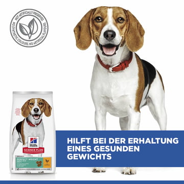 Canine Adult Perfect Weight Medium Breed