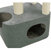 Viviana cat scratcher