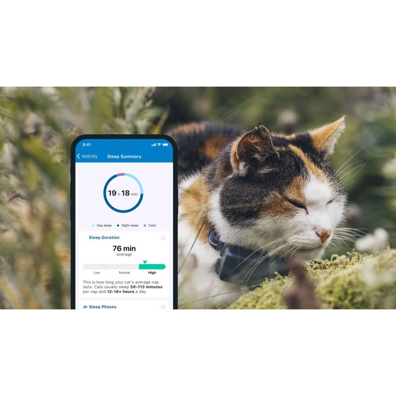 Tractive GPS Tracker für Katzen kaufen bei iPet.ch
