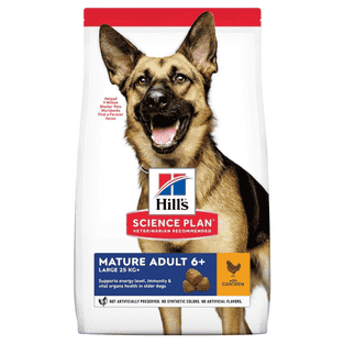 Canine Mature Adult 6+ Large Breed