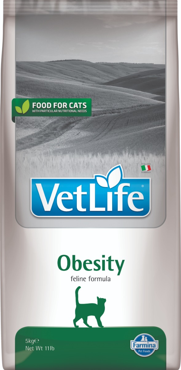 Feline Obesity