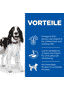 Canine Adult Medium Breed Chicken