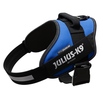 Harnais IDC Power - bleu