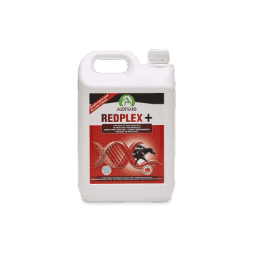 Redplex +