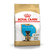 Berger Allemand Puppy
