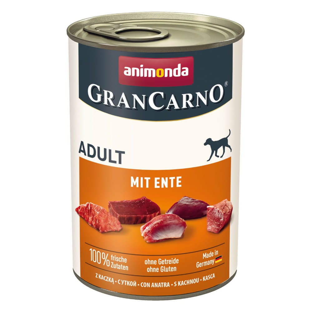 GranCarno Adult