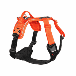 Ramble Harness Orange/Black