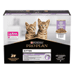 Kitten Healthy Start Truthahn
