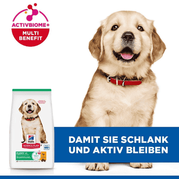 Puppy Large Breed