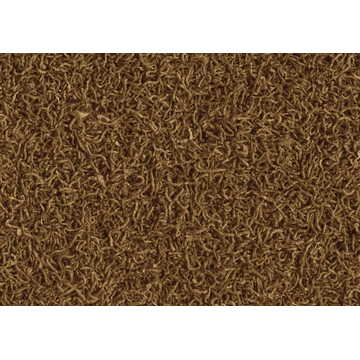 Delica Larves de moustiques