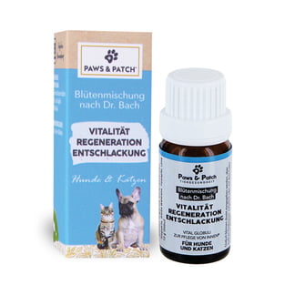 Blütenmischung Vitalität & Regeneration