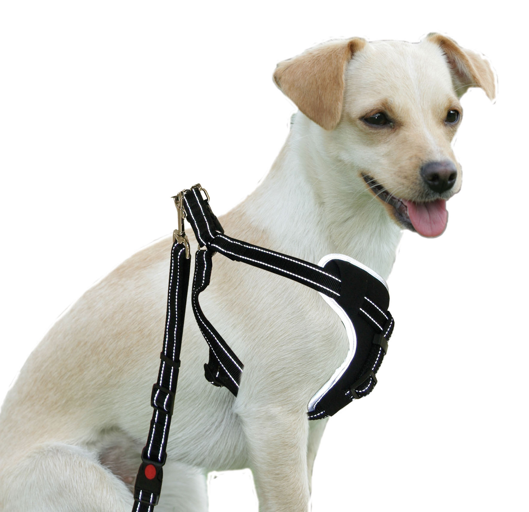 Sicherheitsgeschirr DogSafe für Hunde