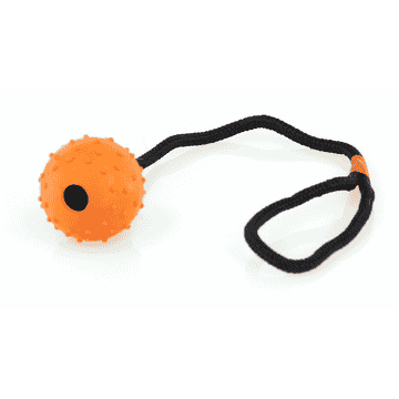 balle Lungo avec boucles, à la corde