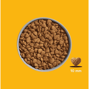 FELIA Huhn Premium Trockenfutter