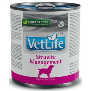 Canine Adult Gestion des Struvites