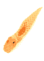 Nubbino serpent