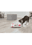 Cat Activity Brain Mover
