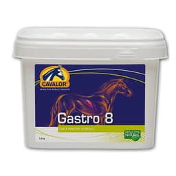 Gastro 8