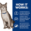 Feline k/d Kidney Care Chicken