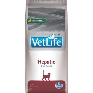 Feline Hepatic