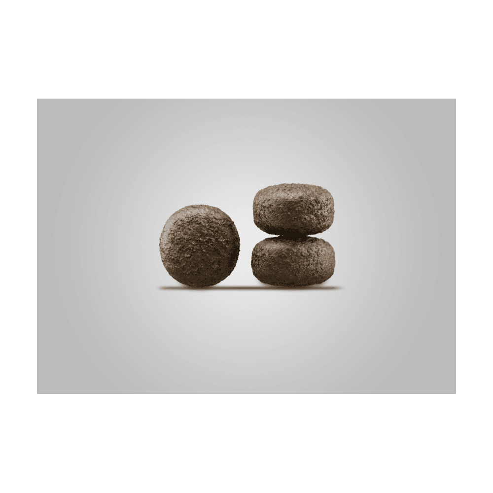 Weight & Diabetic Dog dry