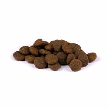 Dog Adult True Fresh - Frischer Truthahn
