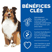 HypoAllergenic Treats