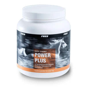 Horse Dynamic POWER PLUS + Magnesium + Lysin