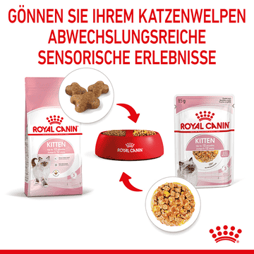 Kitten in Gelée - Frischebeutel