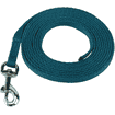 Puppy house training leash