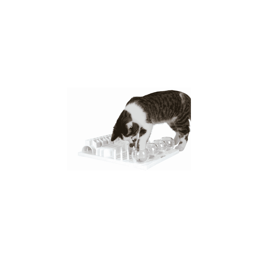 Cat Activity Fun Board