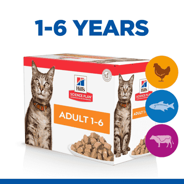 Feline Favourite Selection Adult - Fresh pouches