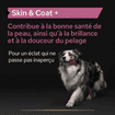 Dog Skin & Coat +