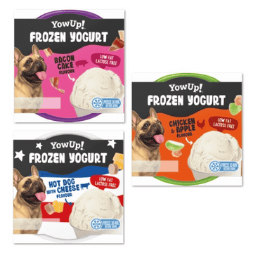 Dog Frozen Yogurt