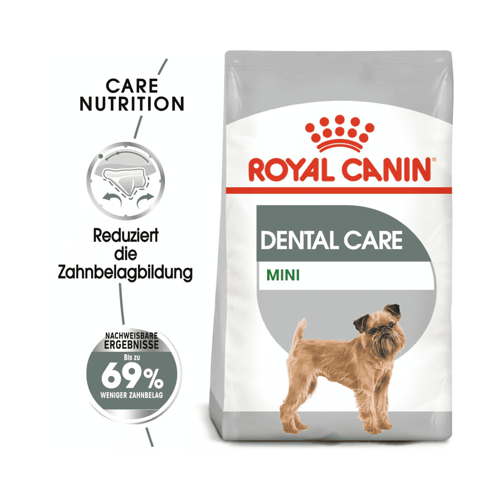 Dental Care Mini