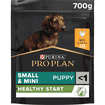 SMALL + MINI PUPPY