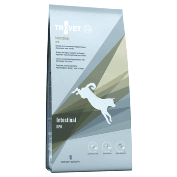 Intestinal DPD Hund