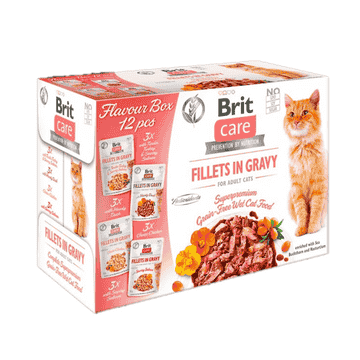 Care Cat Flavour Box - Fillets in Gravy